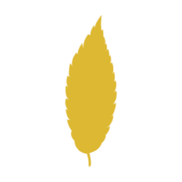 가을, autumn, 단풍, 단풍잎, 가을나뭇잎, 나뭇잎, 자연, leaf, 이파리, 풀잎, 잎사귀