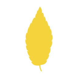 가을, autumn, 단풍, 단풍잎, 가을나뭇잎, 나뭇잎, 자연, leaf, 이파리, 풀잎, 잎사귀
