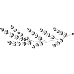 꽃, 장식, 커피, 카페라떼, 디저트, 새, 손그림, 꽃병, 예쁜일러스트, 아메리카노, 커피숍, 음식, 요리, 피크닉, 조각케잌, 꽃선물, 화분, 색연필그림, 커피잔, 전원주택, 카페, 꽃장식, 키친, 흑백그림, 감성, 이, 감성일러스트, 귀여운그림, 메뉴판, 카푸치노