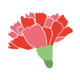 카네이션, 꽃, 어버이날, 선물