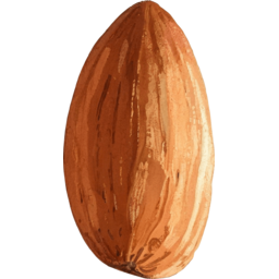 아몬드, 다이어트, Almond, 견과류, 건강, 오메가, 핵과류