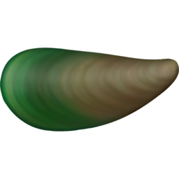 홍합, 초록입홍합, 뉴질랜드홍합, 녹색홍합, 푸른홍합, 그린머슬, green lipped mussel, 초록홍합, 수산물, 해양생물, marine products