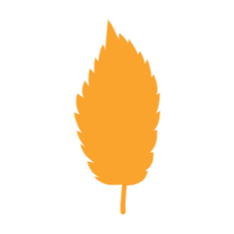 가을, autumn, 단풍, 단풍잎, 가을나뭇잎, 나뭇잎, 자연, leaf, 이파리, 풀잎, 잎사귀