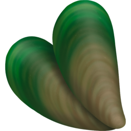 홍합, 초록입홍합, 뉴질랜드홍합, 녹색홍합, 푸른홍합, 그린머슬, green lipped mussel, 초록홍합, 수산물, 해양생물, marine products