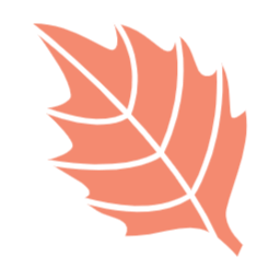 가을, autumn, 단풍, 단풍잎, 가을나뭇잎, 나뭇잎, 자연, leaf, 이파리, 풀잎, 잎사귀