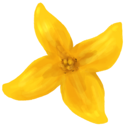 개나리, 꽃, 봄, 봄꽃, flower, 화관, 꽃장식