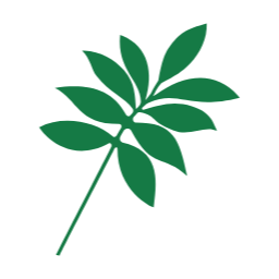잎, 식물, 녹색, 허브, 자연, 테이블야자, leaf, plant, green, 데코, 장식, 데코레이션, decoration, 잎사귀