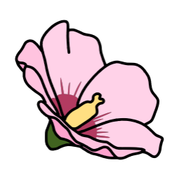 무궁화, 꽃, 자연, 식물, 우리나라, 분홍, 꽃술, 잎