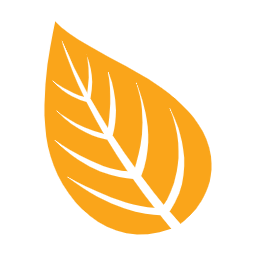가을, autumn, 단풍, 단풍잎, 가을나뭇잎, 나뭇잎, 자연, leaf, 이파리, 풀잎, 잎사귀