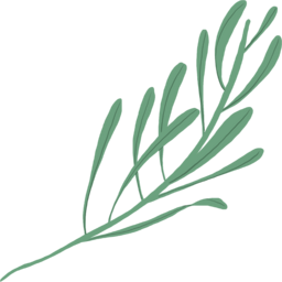 식물, 꽃잎, 잎, 원예, 꽃, Botanical, leaf, 잎사귀, 봄, 초록, Plants, spring