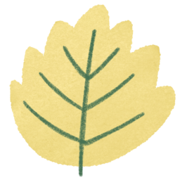 나뭇잎, 가을나뭇잎, 가을, 나무, 낙엽, leaf, 나무잎, 가을꾸미기, 꾸미기, 데코, 크레파스, 색연필, 색연필일러스트, 낙엽일러스트, 낙서, 어린이집, 계절, fall, 손그림, 손그림낙엽, 가을일러스트, 가을나무, 노란낙엽, 노란나뭇잎, 은행