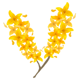 개나리, 꽃, 봄, 봄꽃, flower, 화관, 꽃장식