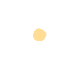꽃, 라인, 흰색, 다꾸, decorate, 꾸미기, 몽글몽글, 노랑, 데이지, 식물, 사람, 부속품, 정장, 묶다, 아네모네