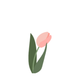 꽃, 봄, 요소, 플랫, 디자인, 일러스트, 카드, 장식, 튤립, 분홍