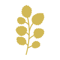 가을, autumn, 단풍, 단풍잎, 가을나뭇잎, 나뭇잎, 자연, leaf, 이파리, 풀잎, 잎사귀