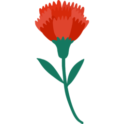 카네이션, 어버이날꽃, 꽃, 빨간꽃, 카네이션꽃, 식물, flower, carnation