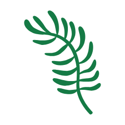 잎, 식물, 양치류, 나뭇잎, leaf, plant, green, 초록색, 자연, natural