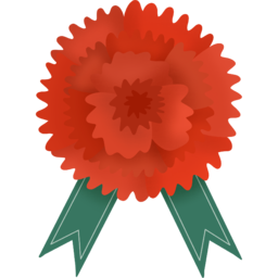 카네이션, 어버이날꽃, 꽃, 빨간꽃, 카네이션꽃, 식물, flower, carnation