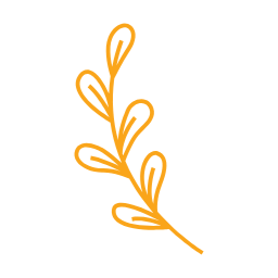 가을, autumn, 단풍, 단풍잎, 가을나뭇잎, 나뭇잎, 자연, leaf, 이파리, 풀잎, 잎사귀