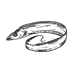 갈치, 물고기, 생선, 생선가게, 갈치그림, 갈치일러스트, 바다, 수산물