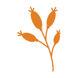 가을, autumn, 단풍, 단풍잎, 가을나뭇잎, 나뭇잎, 자연, leaf, 이파리, 풀잎, 잎사귀