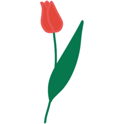 튤립, 꽃, 꽃테두리, 꽃프레임, 꽃배경, 꽃이미지, 꽃잎, 식물, 화초, flower, plants, botanical