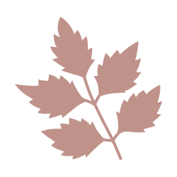 가을, autumn, 단풍, 단풍잎, 가을나뭇잎, 나뭇잎, 자연, leaf, 이파리, 풀잎, 잎사귀