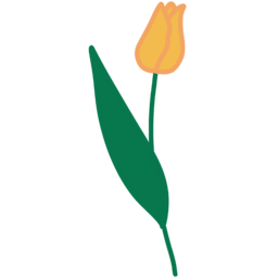 튤립, 꽃, 꽃테두리, 꽃프레임, 꽃배경, 꽃이미지, 꽃잎, 식물, 화초, flower, plants, botanical