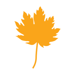 가을, autumn, 단풍, 단풍잎, 가을나뭇잎, 나뭇잎, 자연, leaf, 이파리, 풀잎, 잎사귀