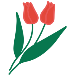 튤립, 꽃, 꽃테두리, 꽃프레임, 꽃배경, 꽃이미지, 꽃잎, 식물, 화초, flower, plants, botanical