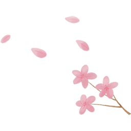 꽃, 식물, 꽃잎, 벚꽃, 나무, 개화, 계절, 봄꽃, 자연, 벚나무, 벚꽃나무, 꽃구경, 벚꽃놀이, 향기, 잎