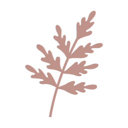 가을, autumn, 단풍, 단풍잎, 가을나뭇잎, 나뭇잎, 자연, leaf, 이파리, 풀잎, 잎사귀