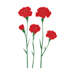 카네이션, 빨간카네이션, 꽃, 자연, 어버이날, 생신, svg, 벡터