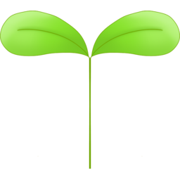 새싹, 봄, sprout, spring, 봄새싹