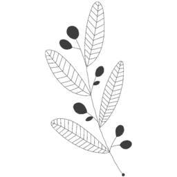 꽃, 장식, 커피, 카페라떼, 디저트, 새, 손그림, 꽃병, 예쁜일러스트, 아메리카노, 커피숍, 음식, 요리, 피크닉, 조각케잌, 꽃선물, 화분, 색연필그림, 커피잔, 전원주택, 카페, 꽃장식, 키친, 흑백그림, 감성, 이, 감성일러스트, 귀여운그림, 메뉴판, 카푸치노
