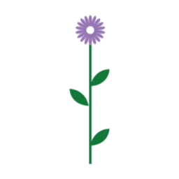 꽃, 줄기, 잎, 나뭇잎