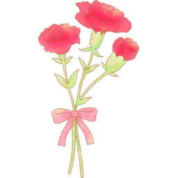 카네이션, 꽃, 카네이션꽃, 플라워, 스승의날, 어버이날, carnation, flower