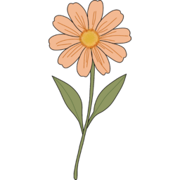 봄, 식물, 식집사, 반려식물, 플랜테리어, 꽃, 꽃송이, 예쁜꽃, flower, 데이지, daisy, 주황꽃, orange, plant, 자연, nature, 플라워일러스트, 감성일러스트, 심플일러스트, 드로잉스타일, spring, 여름, summer, 스티커, sticker, 일러스트, illustration, 장식요소, 툴디요소, 보태니컬