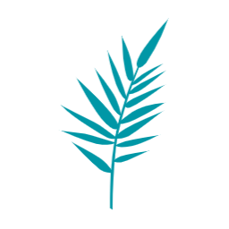 여름, summer, 여름나뭇잎, 나뭇잎, 자연, leaf, 이파리, 풀잎, 잎사귀