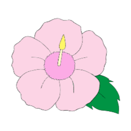 꽃, 꽃일러스트, 꽃요소, 손그림, 플라워, 봄, 식물, flower, 무궁화, 국화