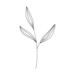 꽃, 잎, 장식, 나무, 여름, 봄, 어버이날, 가정의달, 5월, 선, 무늬, 그림