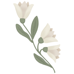 plant, flower, garden, floral, botanical, 식물, 풀, 꽃, 정원, 자연, nature