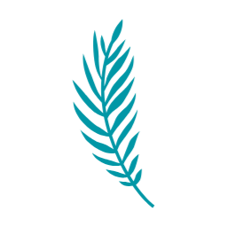 여름, summer, 여름나뭇잎, 나뭇잎, 자연, leaf, 이파리, 풀잎, 잎사귀