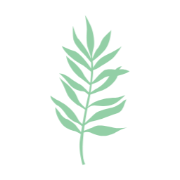 여름, summer, 여름나뭇잎, 나뭇잎, 자연, leaf, 이파리, 풀잎, 잎사귀