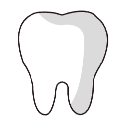 치아, 이빨, 양치, tooth