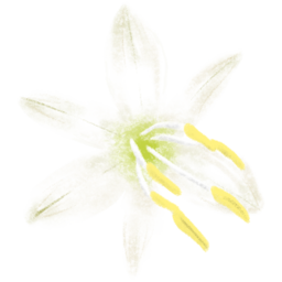 꽃, 봄, 축제, 봄축제, 여름축제, Flower
