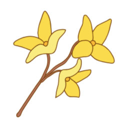 개나리, 개나리꽃, 봄꽃, 봄, spring, forsythia, 꽃, flower, 봄에피는꽃, 식물