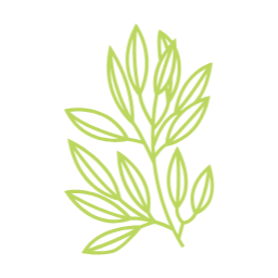 여름, summer, 여름나뭇잎, 나뭇잎, 자연, leaf, 이파리, 풀잎, 잎사귀