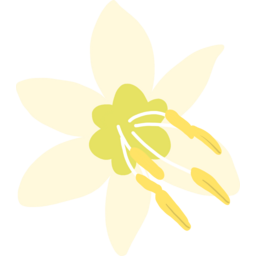 꽃, 봄, 축제, 봄축제, 여름축제, Flower