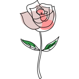 장미, 장미손그림, 장미일러스트, 장미꽃, 꽃, 장미축제, 축제